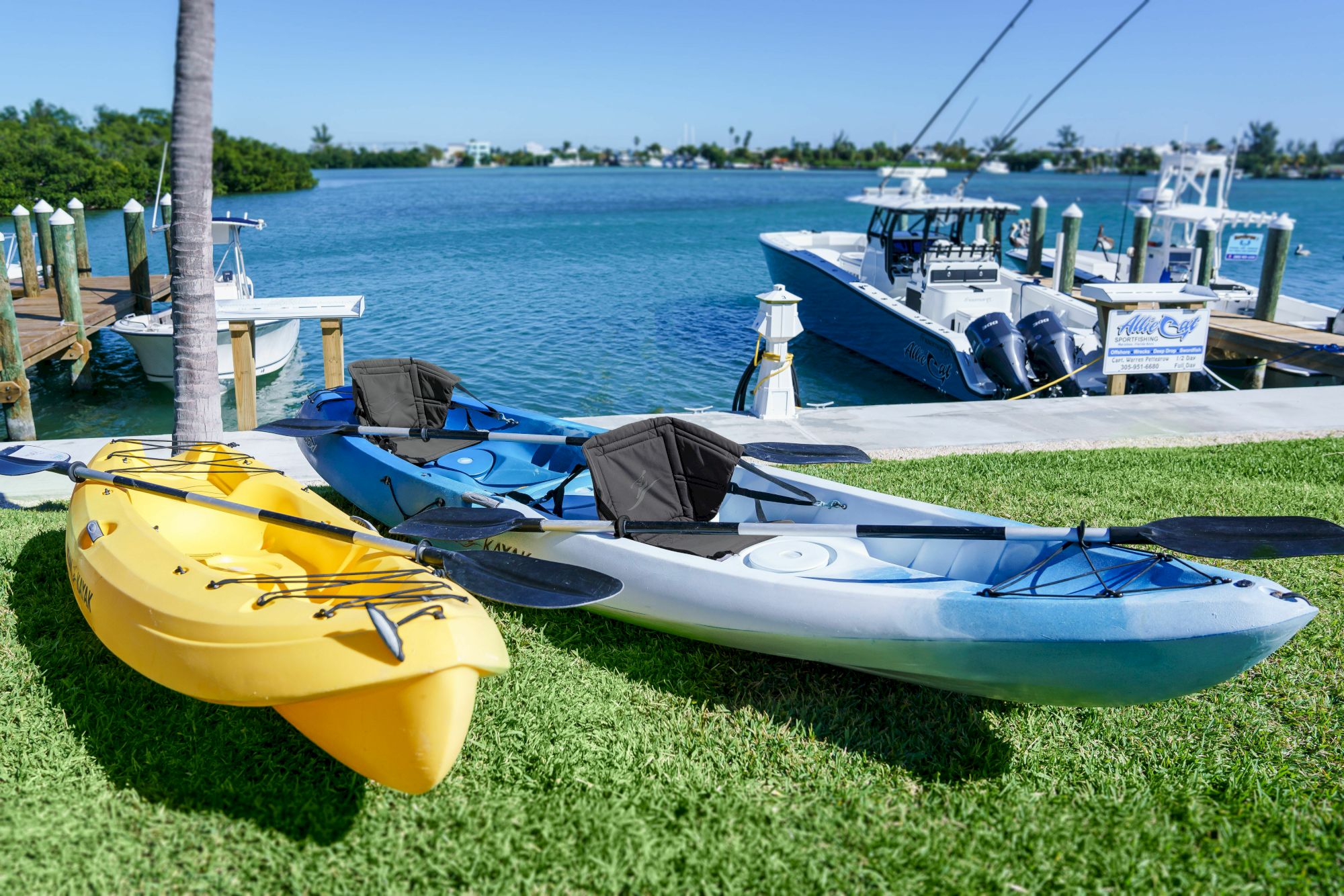 Three kayaks sit on the grass by a calm marina, with boats and clear blue water in the background.