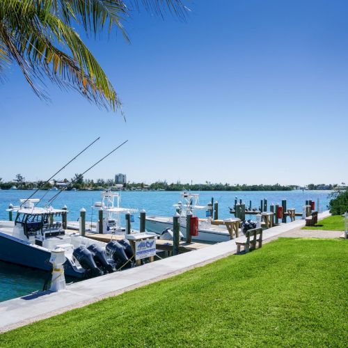 A sunny waterfront scene with a boat dock, fishing rods, calm blue water, palm tree, green lawn, and a house porch along the pier, peaceful and bright.